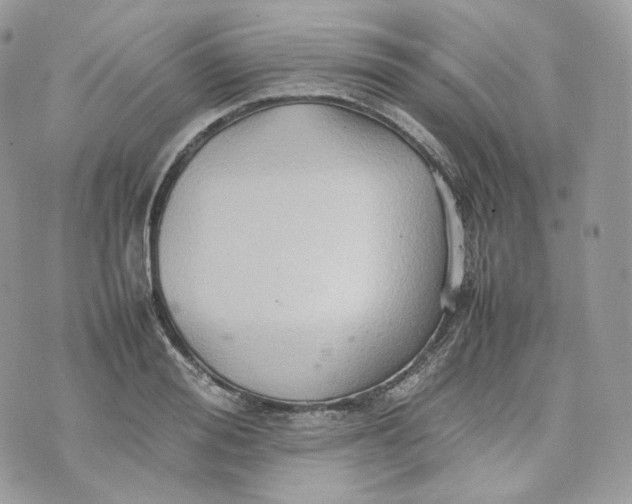 X0000075360988200609291456