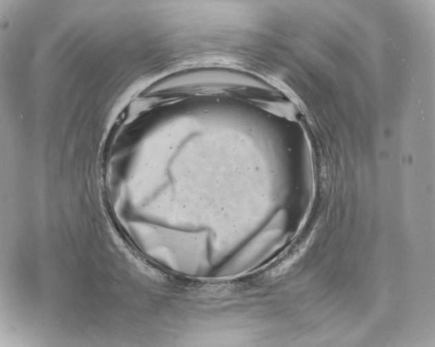 X0000075360989200609291456