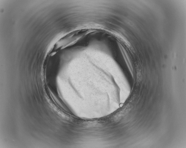 X0000075360990200609291456