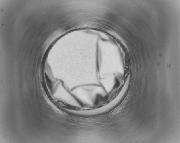 X0000075360991200609291456