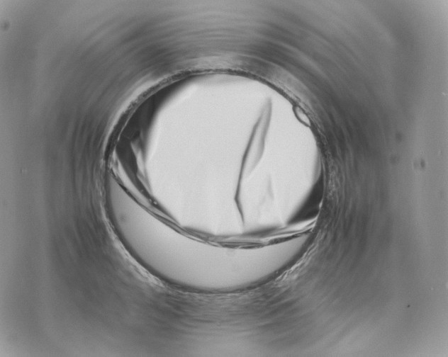 X0000075360992200609291456