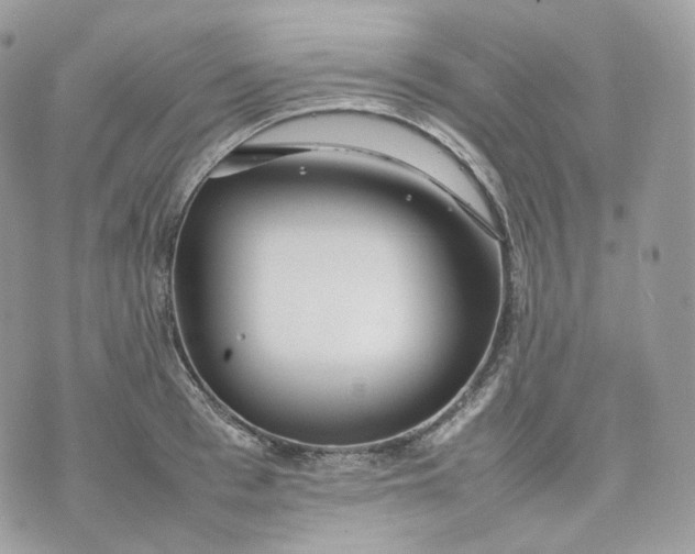 X0000075360993200609291456