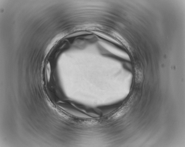 X0000075360994200609291456