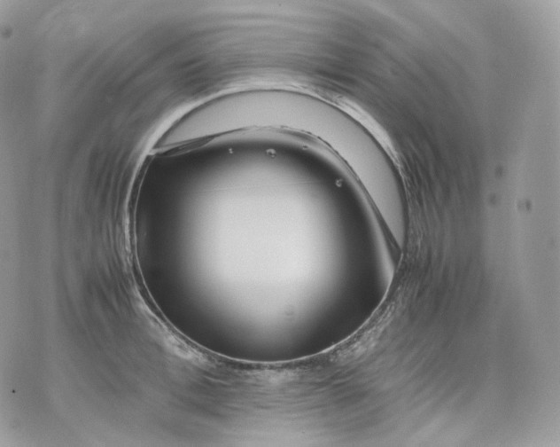 X0000075360996200609291456