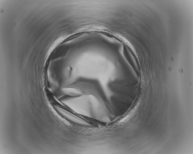 X0000075360997200609291456