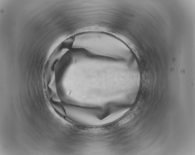 X0000075360998200609291456