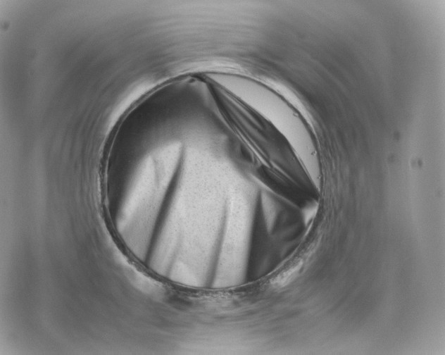 X0000075360999200609291456