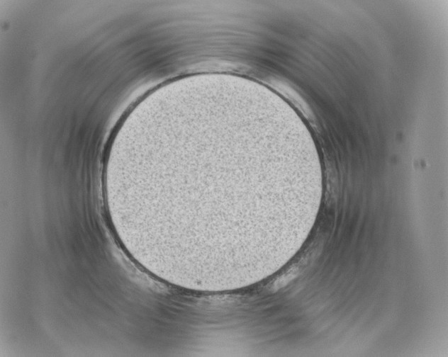 X0000075361000200609291456