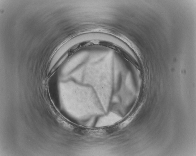 X0000075361001200609291456