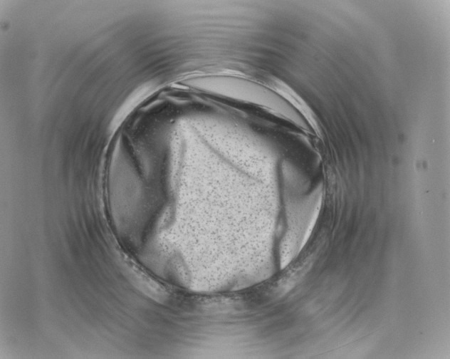 X0000075361002200609291456