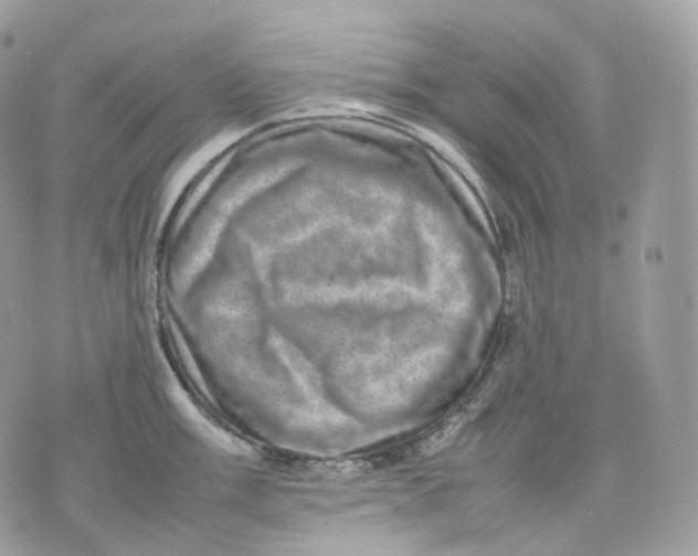 X0000075361003200609291456