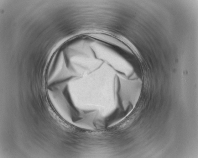 X0000075361004200609291456