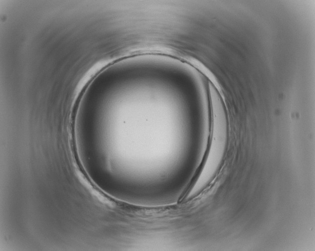 X0000075361005200609291456