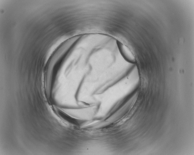 X0000075361006200609291456