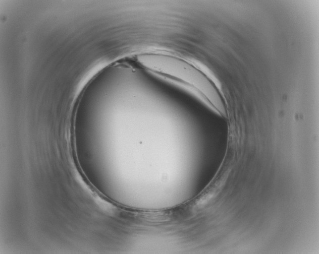 X0000075361007200609291456