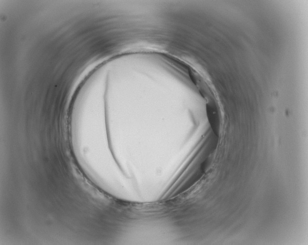 X0000075361008200609291456