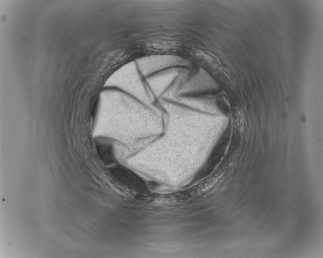 X0000075361009200609291455