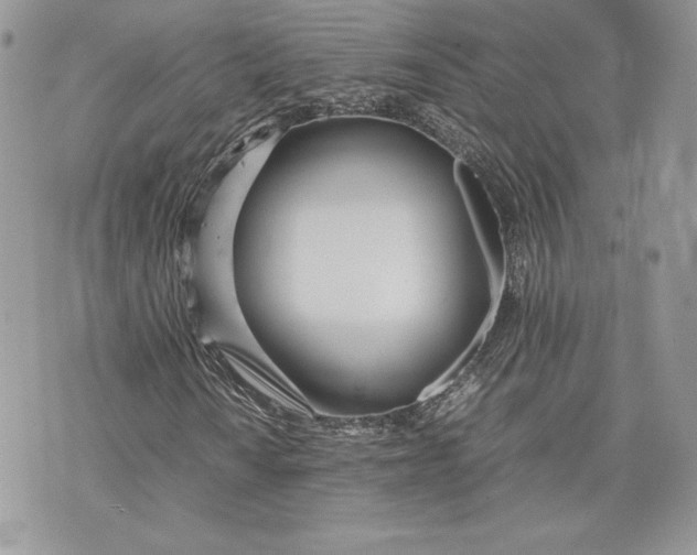 X0000075361010200609291455