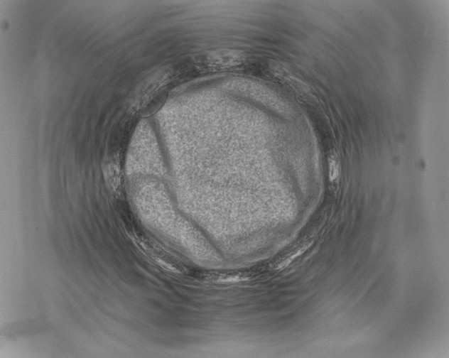 X0000075361011200609291455