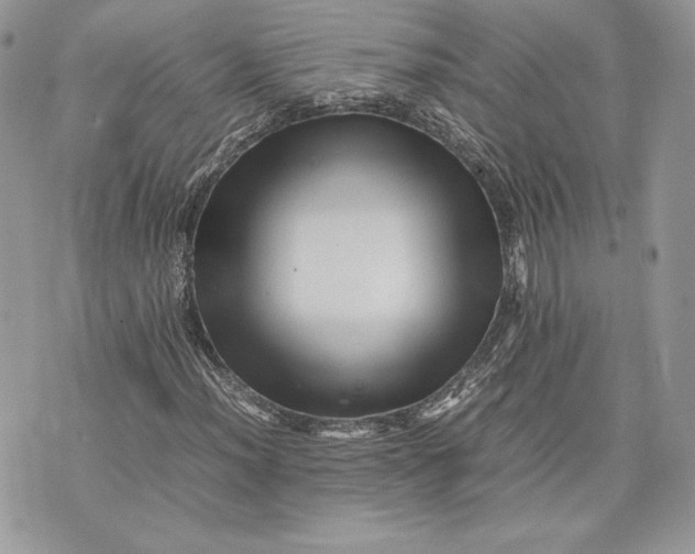 X0000075361012200609291455