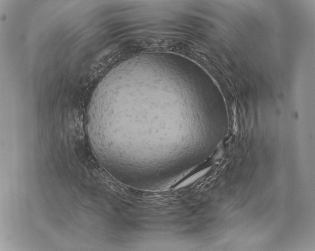 X0000075361013200609291455