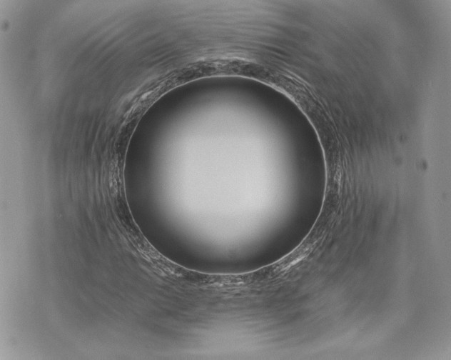 X0000075361014200609291455