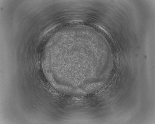 X0000075361015200609291455