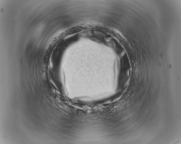 X0000075361016200609291455