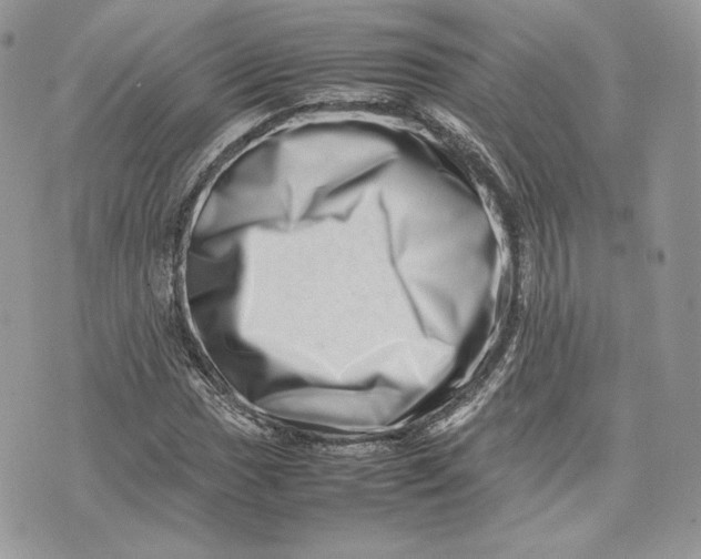 X0000075361017200609291455