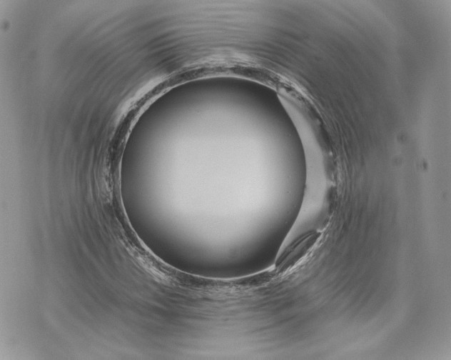 X0000075361018200609291455