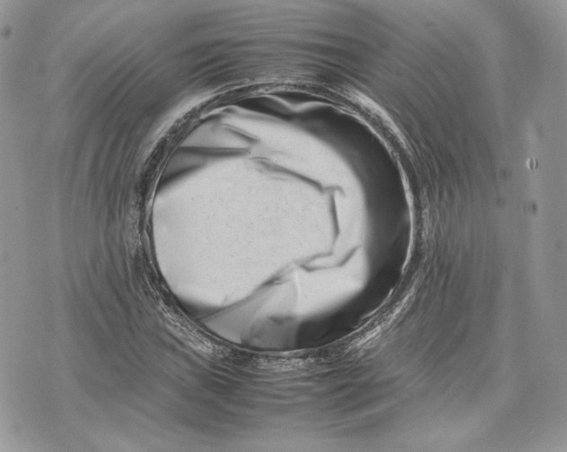 X0000075361019200609291455