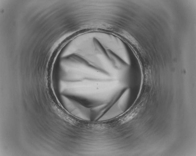 X0000075361020200609291455