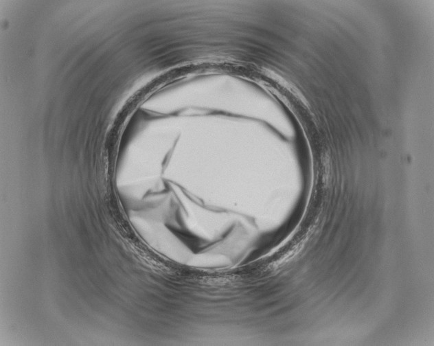 X0000075361021200609291455