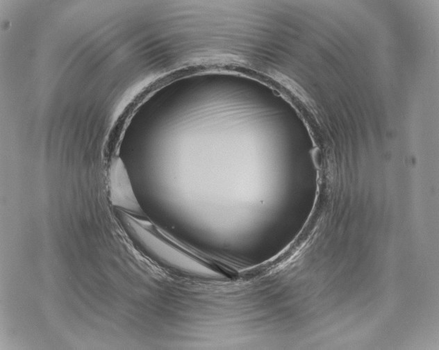 X0000075361022200609291455