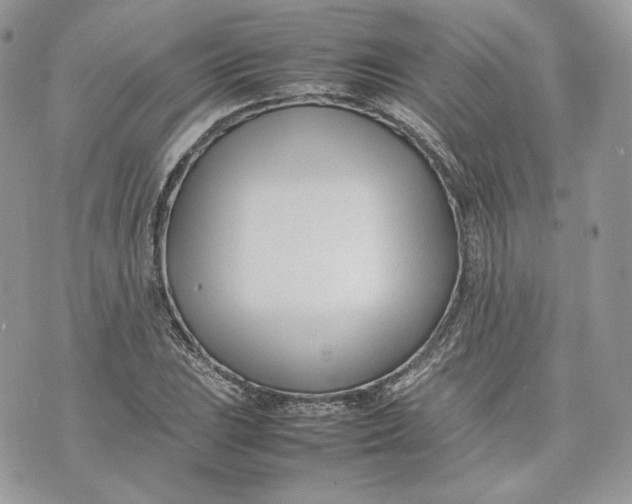 X0000075361023200609291455