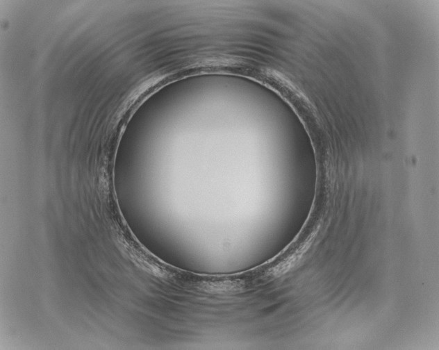 X0000075361025200609291455