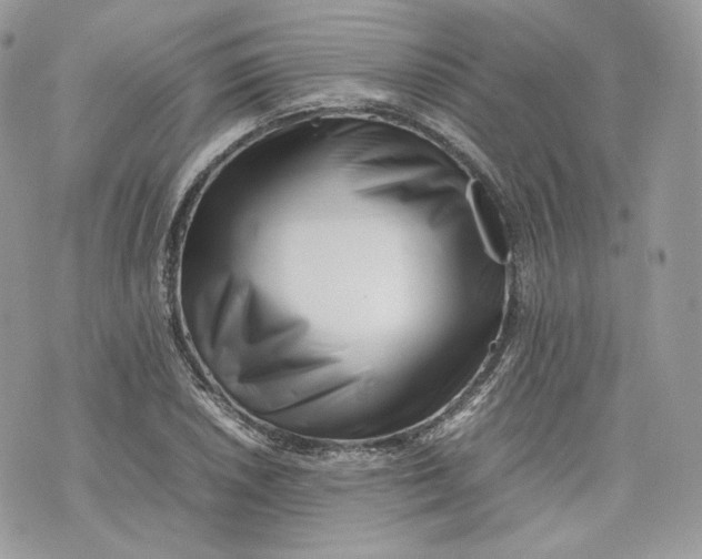 X0000075361026200609291455