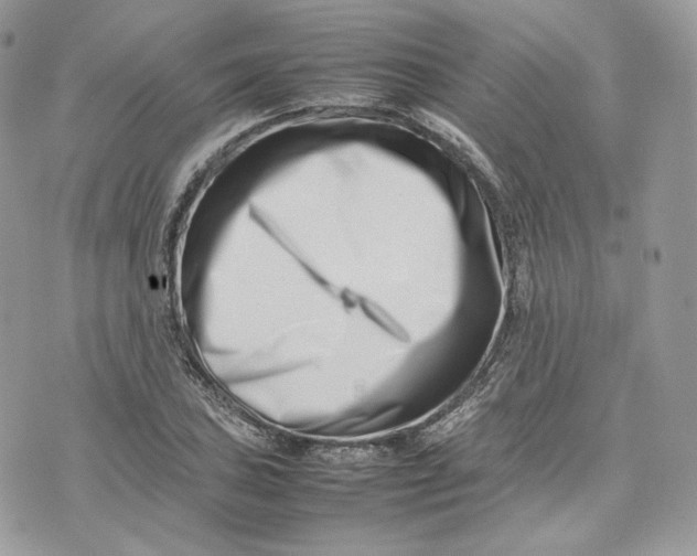 X0000075361027200609291455