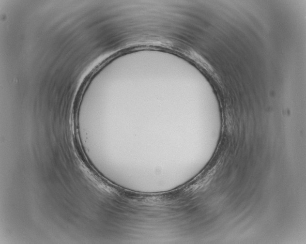 X0000075361028200609291455