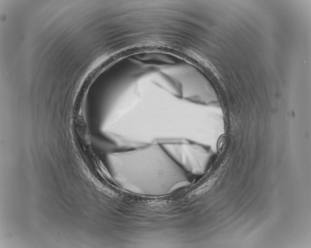 X0000075361029200609291456