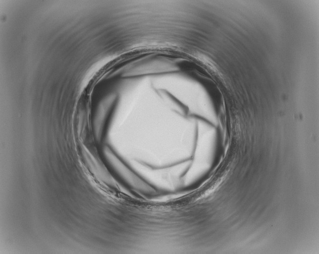 X0000075361030200609291456