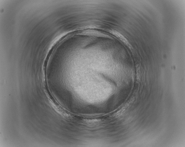 X0000075361031200609291456