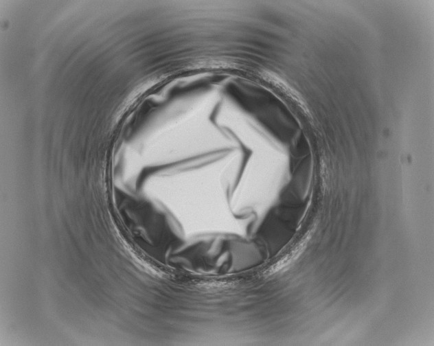 X0000075361033200609291456