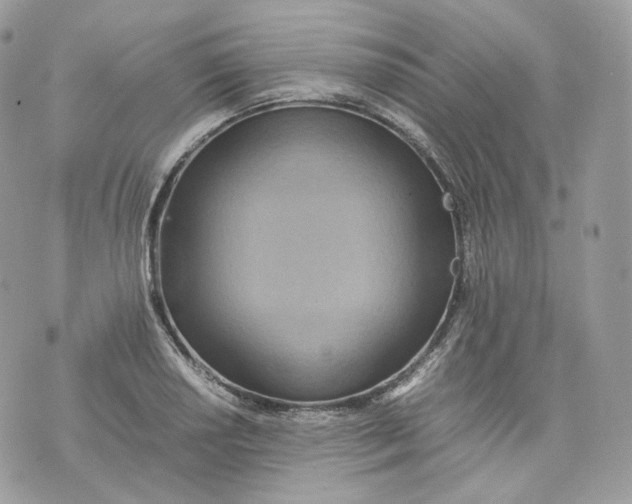 X0000075361034200609291456