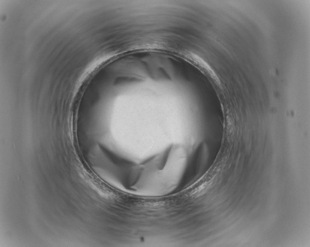 X0000075361035200609291456