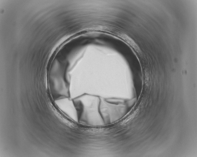 X0000075361036200609291456