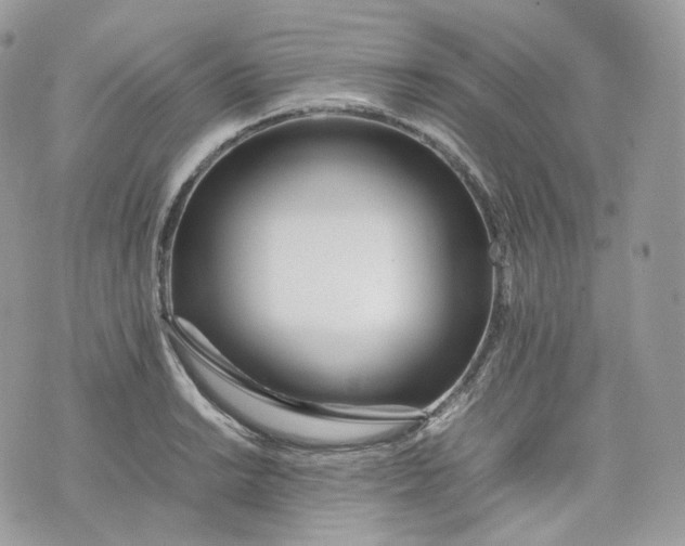 X0000075361038200609291456