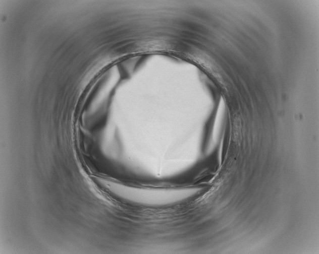 X0000075361039200609291456