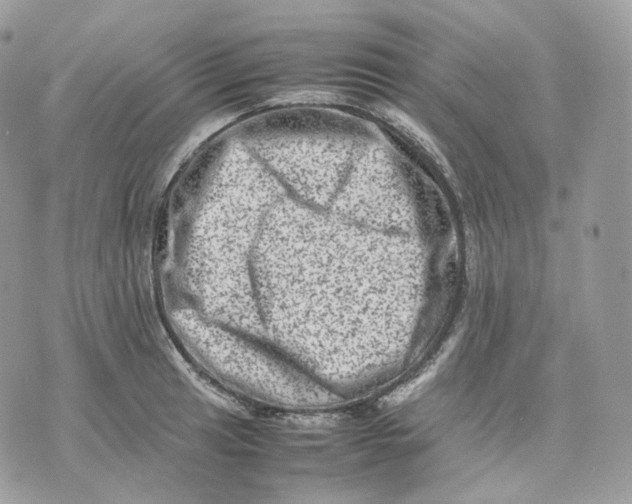 X0000075361041200609291456