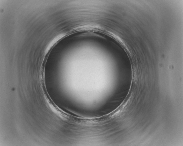 X0000075361042200609291456